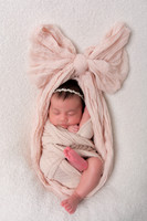 Estefania Newborn