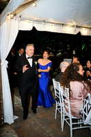 Introductions, first dances, toast, cake cutting