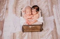 Vielka Twins