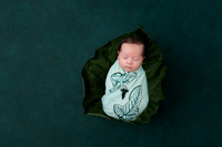 Nathan Aryn