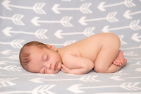 Enzo Arianna