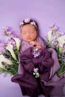 Lily Jeidy Newborn