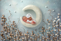 Vanessa Twins Newborn
