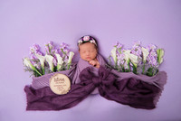 Lily Jeidy Newborn