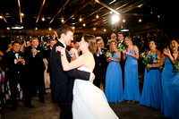 Introductions, first dances, toast, cake cutting