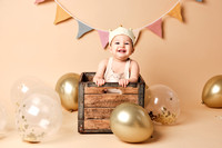 Logan Aryn