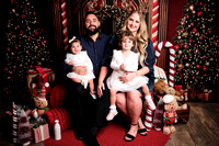Holiday Minis 2024