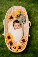 Olivia Karina Newborn