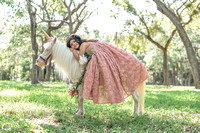 Jeidy Pony